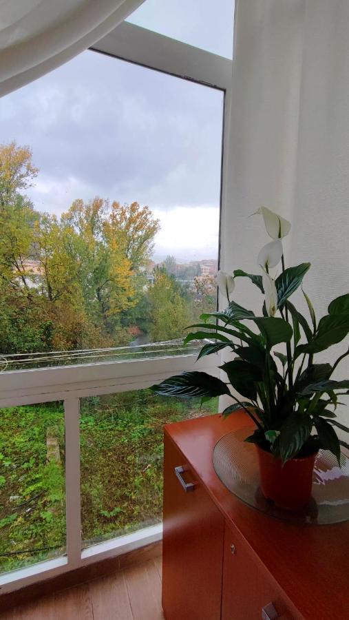 Il Roseto Bed & Breakfast Frosinone Dış mekan fotoğraf