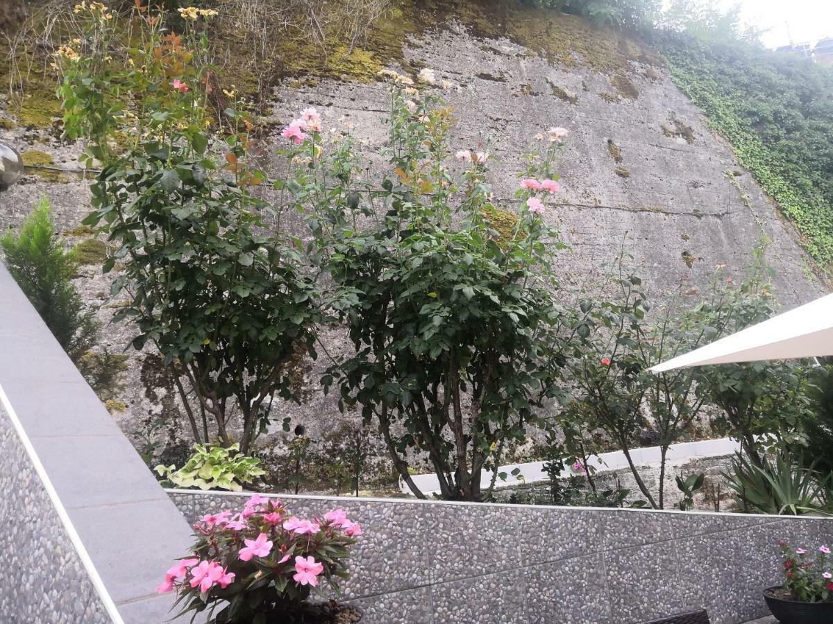 Il Roseto Bed & Breakfast Frosinone Dış mekan fotoğraf