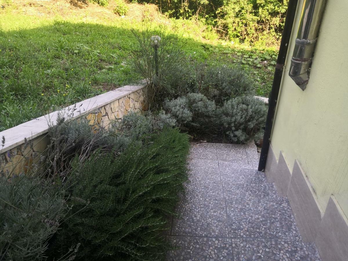 Il Roseto Bed & Breakfast Frosinone Dış mekan fotoğraf